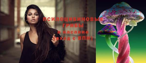 шишки Киреевск
