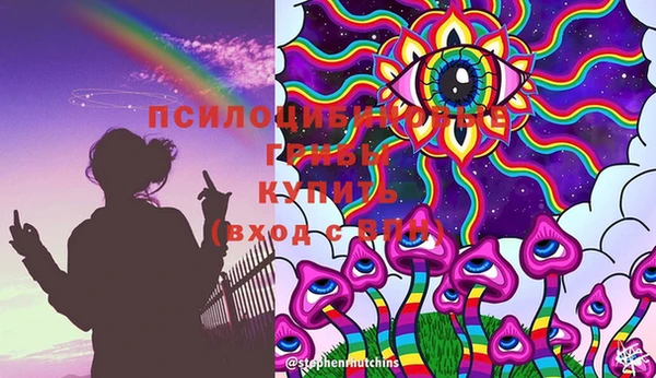 крисы Кинешма