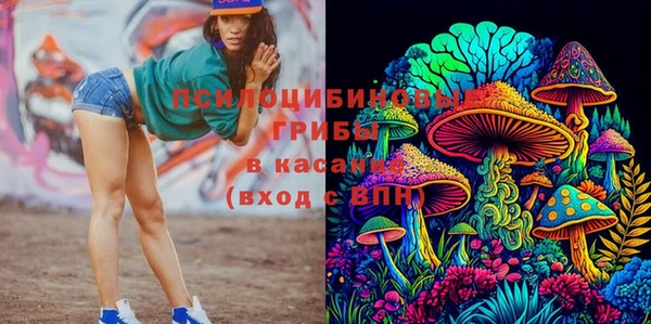 шишки Киреевск